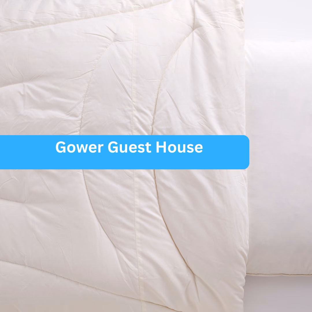 Gower Guest House 